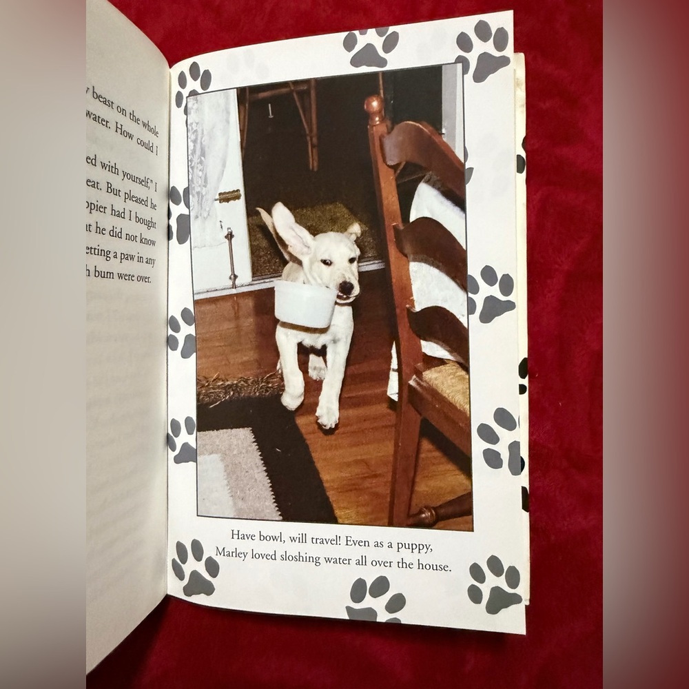 HARDBACK MARLEY AND ME BOOK NO CREASES FLAWS OR WRITING PERFECT WITH PICTURES! 🐕 - Picture 9 of 13